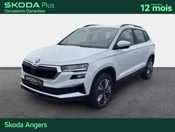 Skoda Karoq 2.0 TDI 116 ch SCR DSG7 Business