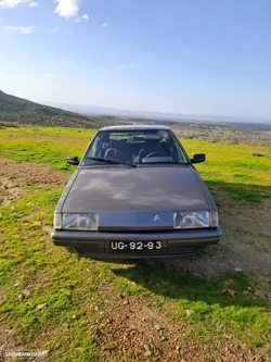 Citroën BX 14 Image