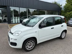 FIAT PANDA 1.2ie 69cv EASY