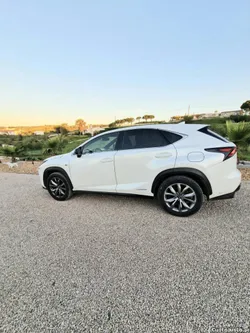 Lexus NX sport NX 300Hî