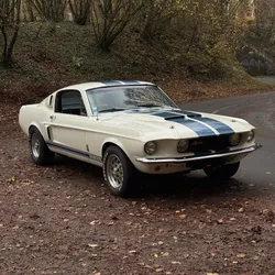 Ford Mustang Fastback Shelby Cobra GT350