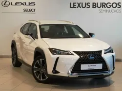 Lexus UX 250h Premium 4WD