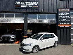 Skoda Fabia 1.0 TSI 95 ch BVM5 Business