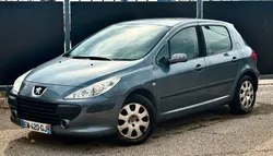 Jolie 307 1.4 16v 90cv Pack / Ct Ok / Ethanol Possible