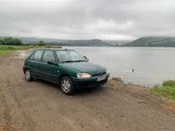 Peugeot 106 green