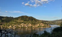 Cinfães, Viseu