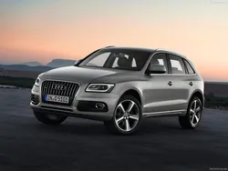 Audi SQ5 Generation 1 (8R)
