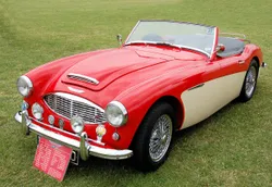 Austin Healey 100 100 (BN4/BN6)