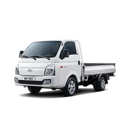 Hyundai H-100
