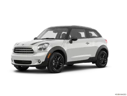 Mini Paceman