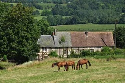 Lisieux, Calvados