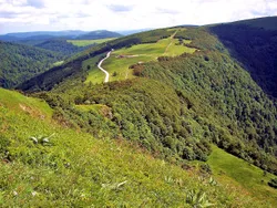 Golbey, Vosges