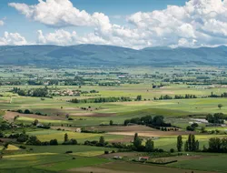 Álava