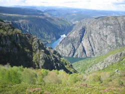 Lugo