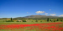 Golmayo, Soria