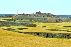 Zaragoza
