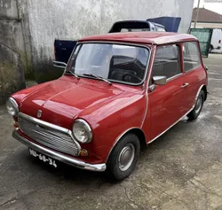 MINI 1000 Red