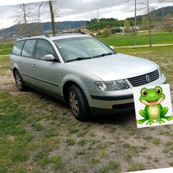 VW Passat 1.9 tdi