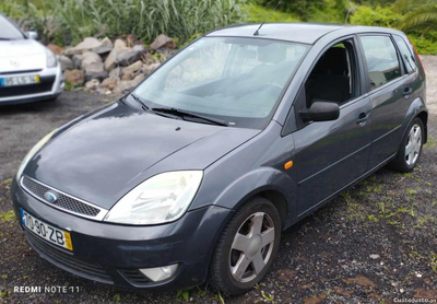 Ford Fiesta 1.2 TREND 16V 75 CV