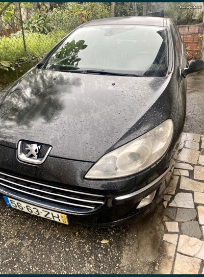 Peugeot 407 Griffe