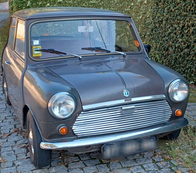 MINI 1000 Classico