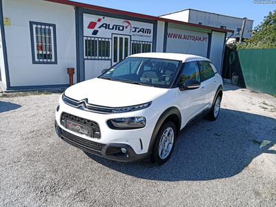 Citroën C4 Cactus Phase 2 1.5 BlueHDi 100 S&S Feel Business BV6