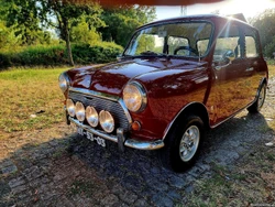 MINI 1000 Novo