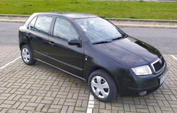 Skoda Fabia 1.3 70 milkm 2001