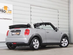 Mini Mini D