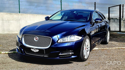 Jaguar XJ 3.0 D V6 Portfolio de 2015