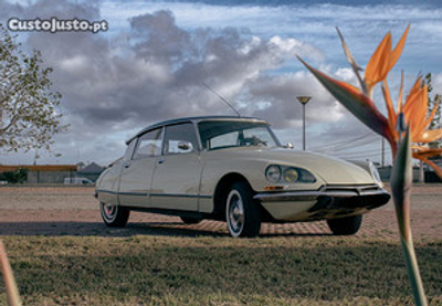 Citroën DS PALLAS 23