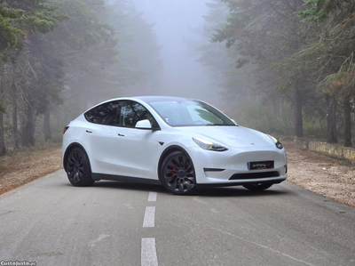 Tesla Model Y PERFOMANCE 513CV