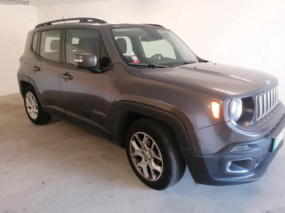 Jeep Renegade MJD Longitude