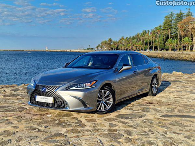 Lexus ES ES 300h Business