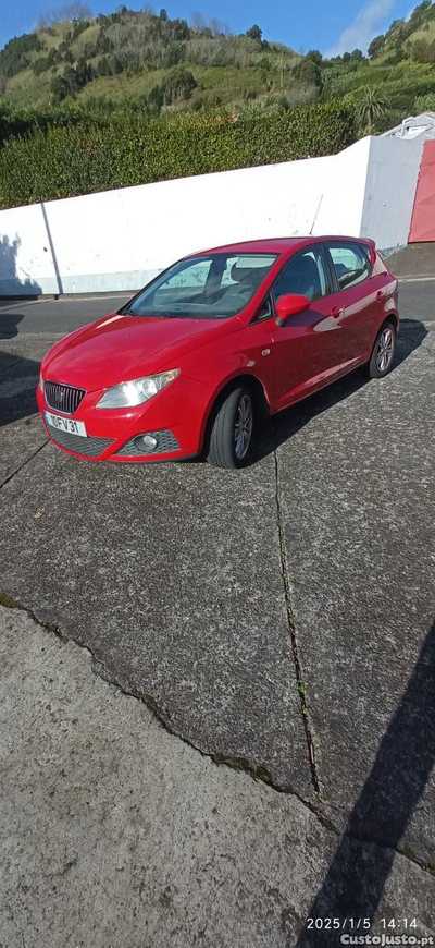 Seat Ibiza 6J