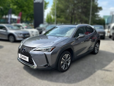 Lexus UX UX 300e Luxury