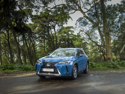 Lexus UX 300e Premium +