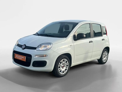 Fiat Panda 1.0 Hybrid City Life