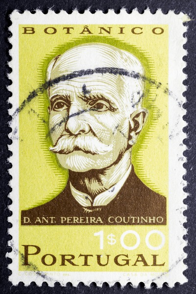 António Pereira