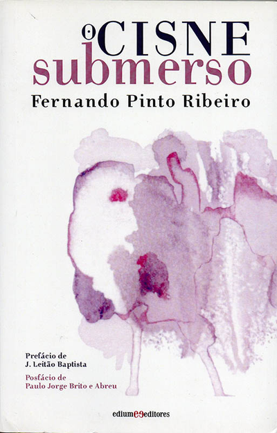 Fernando Pinto Ribeiro