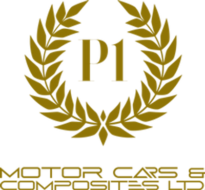 P1 Motors