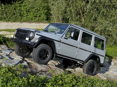 Mercedes-Benz G-Class W461 Professional