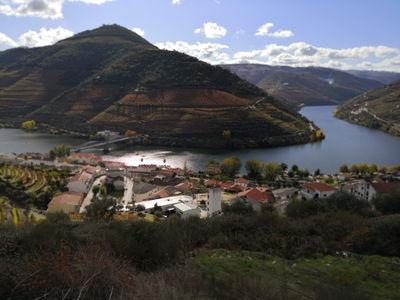 Alijó, Vila Real